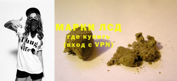 дмт Пересвет