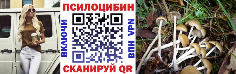 Псилоцибиновые грибы Psilocybe где можно купить наркотик Усть-Катав